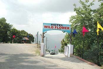 Wild Flower House Mussoorie Zewnętrze zdjęcie